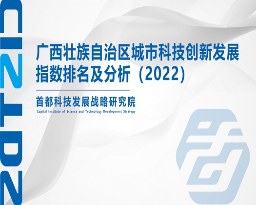 大鸡巴快点操我【成果发布】广西壮族自治区城市科技创新发展指数排名及分析（2022）